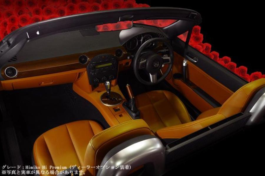 Торпедо Mitsuoka Himiko 2008 года  (фото 25 из 30)